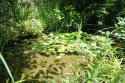 0_3356338_95666.jpg