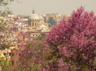 OFFERTA ESTATE  A ROMA - Casale Insugherata B&B Roma